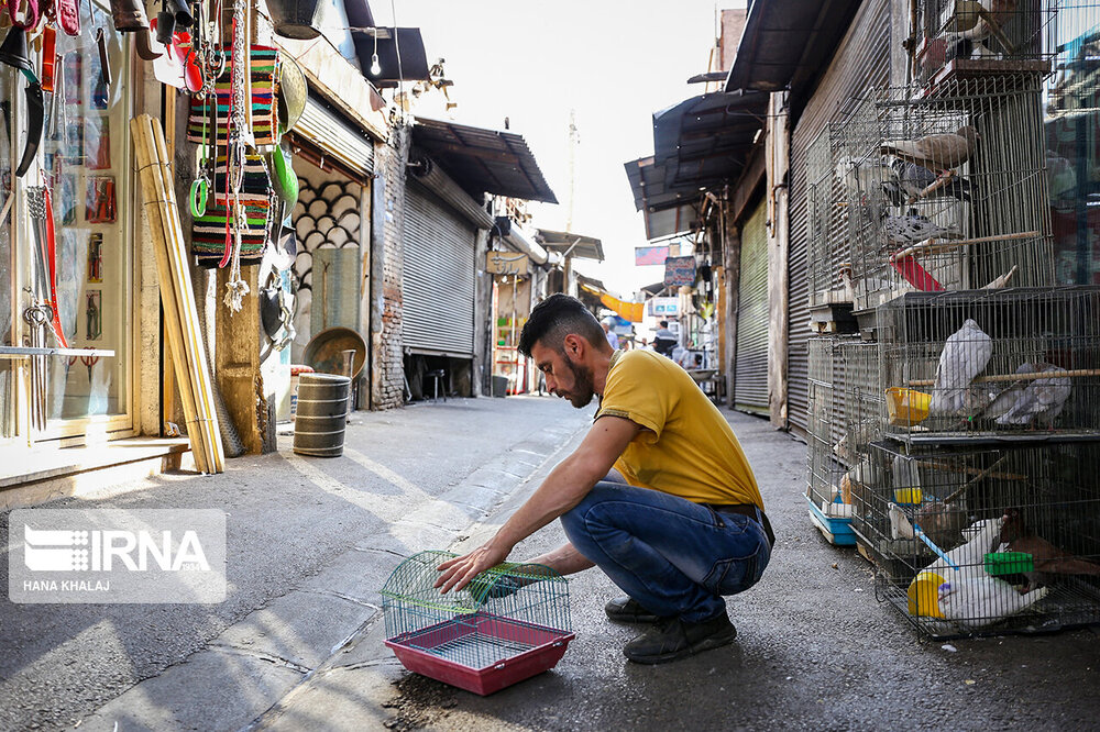 جنجال‌سازی عضو وزارت دفاع روسیه