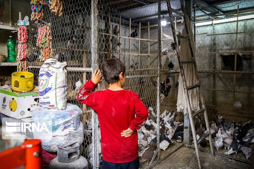 جنجال‌سازی عضو وزارت دفاع روسیه