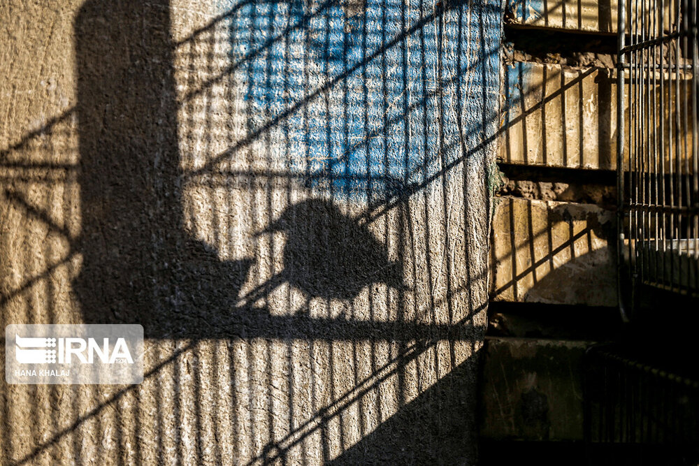 جنجال‌سازی عضو وزارت دفاع روسیه