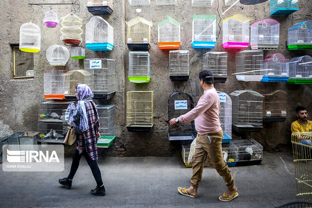 جنجال‌سازی عضو وزارت دفاع روسیه