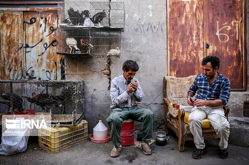 جنجال‌سازی عضو وزارت دفاع روسیه