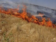 ممنوعیت سوزاندن بقایای گیاهی اراضی کشاورزی در لرستان