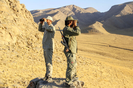 دستگیری 3 قاچاقچی ضارب جنگلبانان رضوانشهری