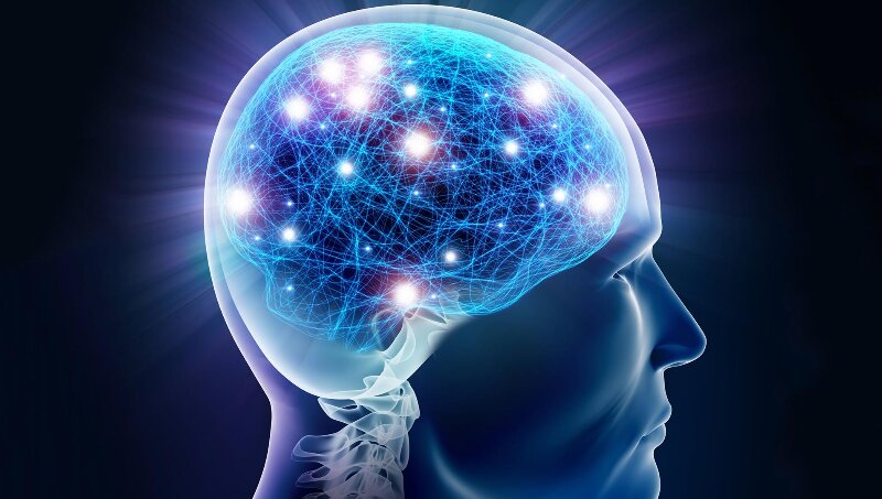 الکل چه تاثیری بر مغز موشها میگذارد؟