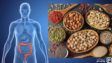با این رژیم غذایی از ابتلا به سرطان روده بزرگ جلوگیری کنیم؟