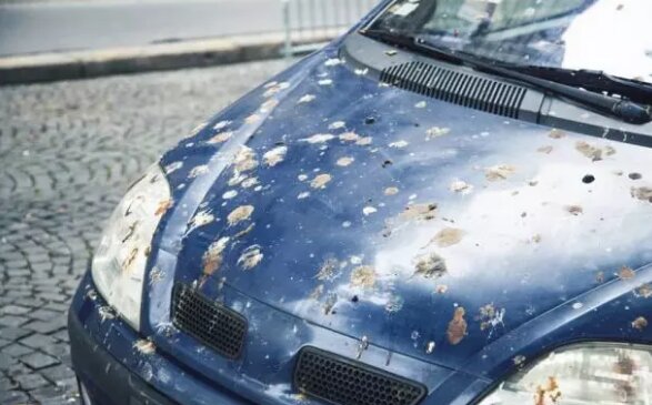 عکس | مهمترین عوامل نابودی رنگ خودرو