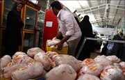 چالش دولت با تورم مرغی