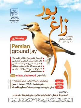 یازدهمین جشنواره گردشگری سفر به زیستگاه زاغ بور در بخش بیارجمند شاهرود برگزار می‌شود