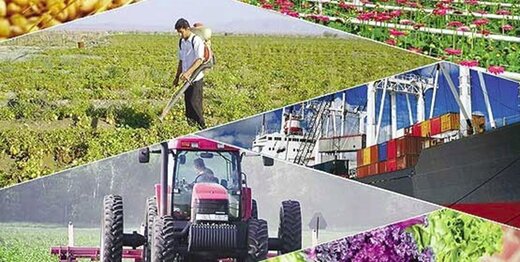 تاثیر مخرب حذف یارانه کود بر کشاورزی / قیمت از 250 هزار تومان به یک میلیون و 290 هزار تومان می رسد