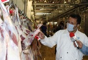 تولید مستمر گوشت قرمز و سفید در کشتارگاههای لرستان