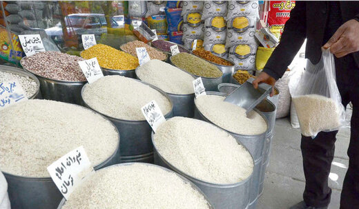 خبری که روی سفره مردم تاثیر دارد / قیمت برنج پایین می‌آید؟