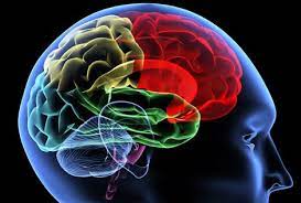 علائمی که بدن یک ماه قبل از سکته نشان میدهد!