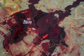 تصاویر دردناک از حمله تروریستی به حرم شاهچراغ