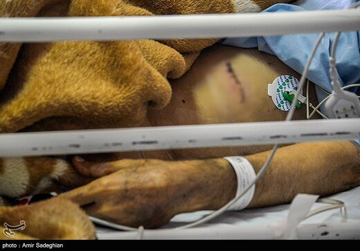 مصدومین حادثه تروریستی شیراز