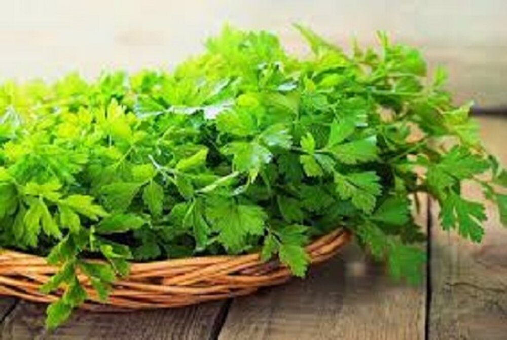 این افراد جعفری نخورند!