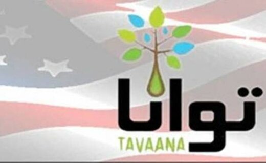 روزنامه ایران: این موسسات دنبال براندازی در ایران هستند