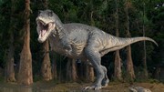کشفی اعجاب‌آور در خصوص دایناسور محبوب انسان‌ها!