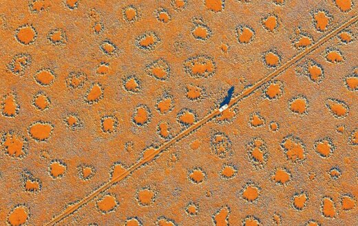 عکس | حل معمای دایرههای جادویی در بیابان  عکس | حل معمای دایرههای جادویی در بیابان