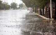 ببینید | بارش شدید باران و تگرگ در پردیس تهران