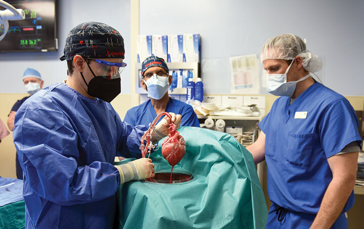 عاقبت جراحی پیوند قلب خوک به انسان