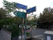 سیاسی‌ترین خیابان تهران کجاست؟ / محل زندگی چهره‌های مطرح سیاسی با خانه‌های دیدنی+ تصاویر