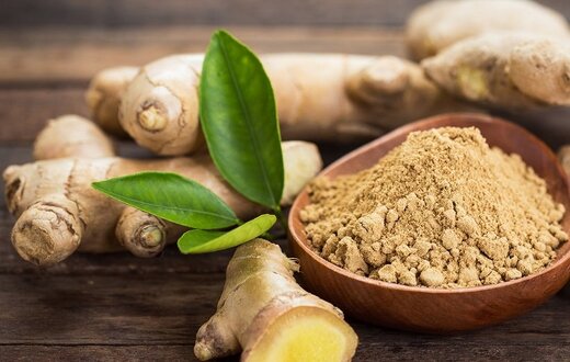 از کاهش قند تا کلسترول؛ گیاهی که خواص درمانی زیادی دارد از کاهش قند تا کلسترول؛ گیاهی که خواص درمانی زیادی دارد