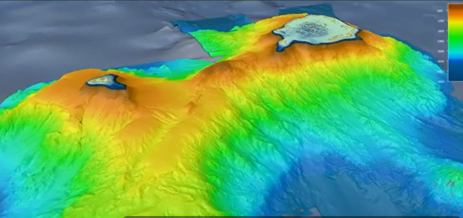 عکس | صورت این ماهی شبیه به انسانها است!