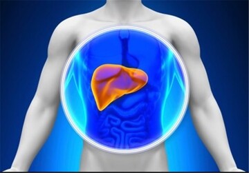 سلامت کبد با این گل تضمین کنید سلامت کبد با این گل تضمین کنید