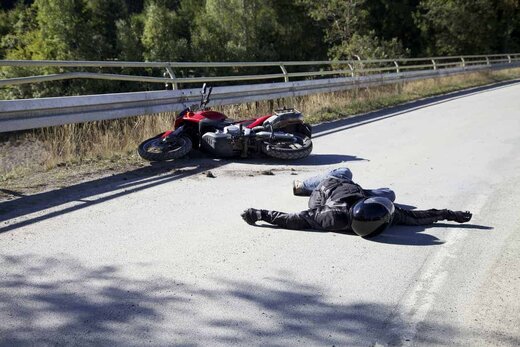 ببینید | تصادف دلخراش یک موتورسیکلت با یک گوزن در جاده‌ای جنگلی