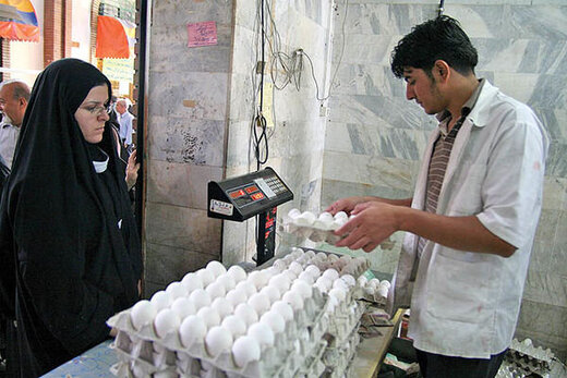 جدیدترین قیمت تخم مرغ در میادین و بازار / یک شانه ۳۰ عددی چند شد؟