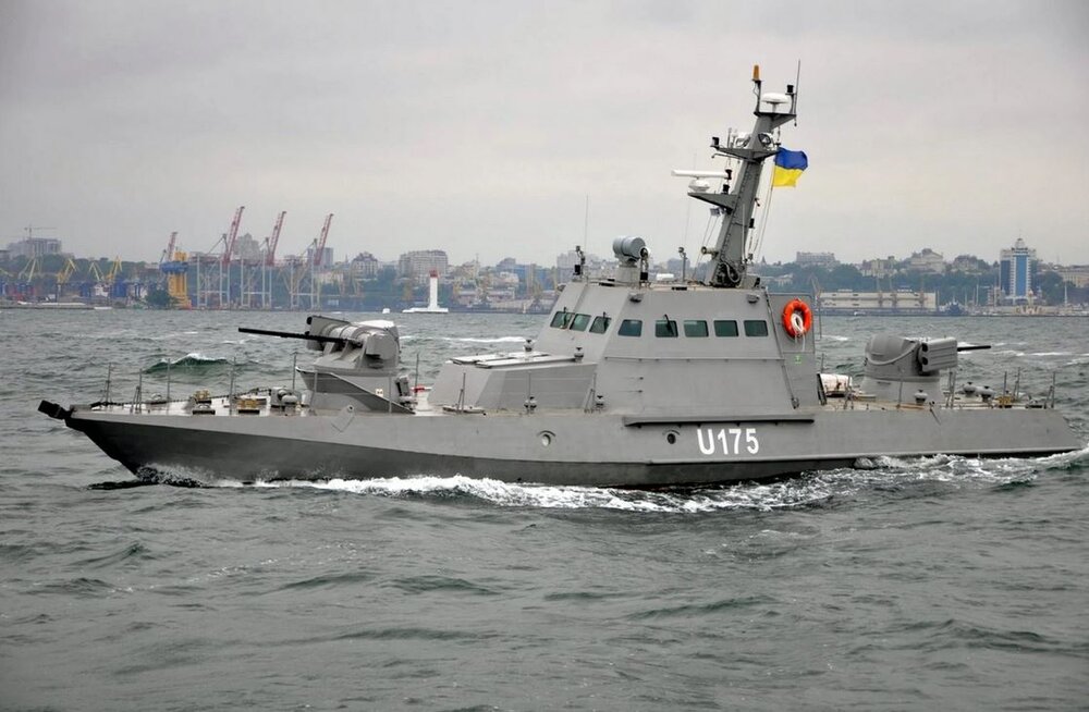 عکس | شکارچی شکار شد / شکار پهپاد ترسناک روسی در اوکراین