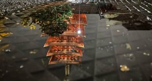 عکس | این عکس ها در شب با آیفون گرفته شدهاست؛ چگونه در شب بهترین عکسها را با آیفون بگیریم؟