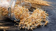 تاثیر شگفت‌انگیز این خوراکی بر بهبود کبد چرب