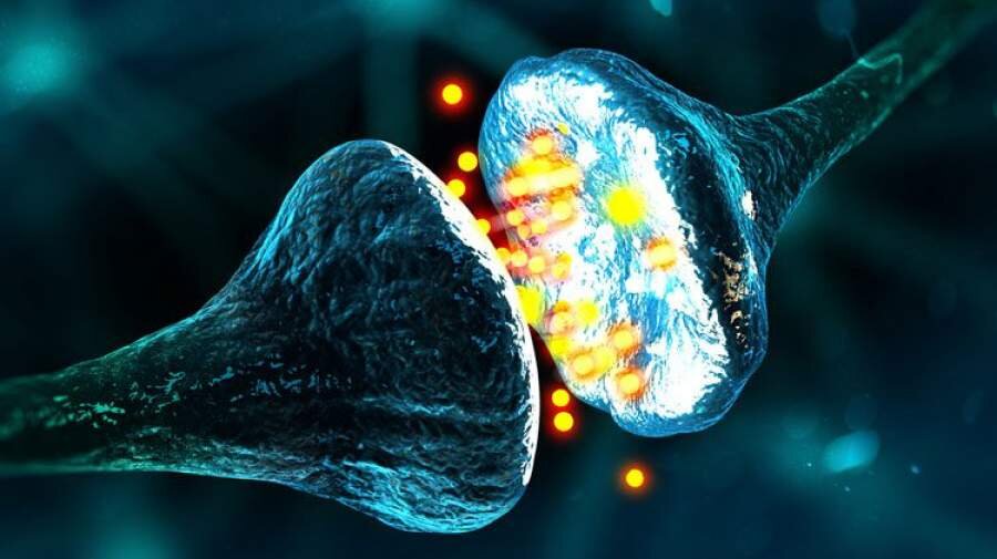 مادهای مصنوعی که عملکرد مغز را تقلید میکند