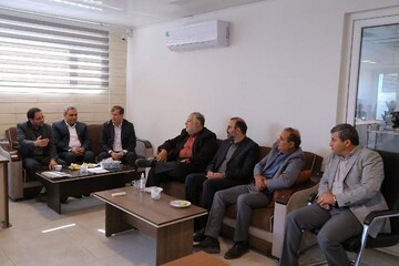 قزوین از تولیدکنندگان مطرح کشور در زمینه تولید زیتون است