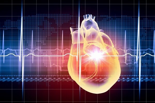 مصرف مکمل‌های دارویی تأثیری بر سلامت قلب دارند؟