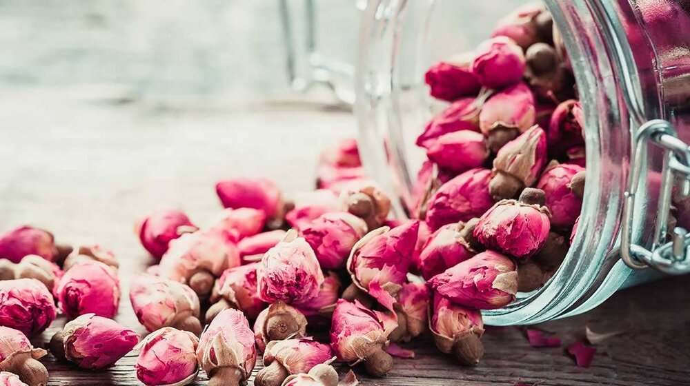 خواص جادویی و درمانی « گل محمدی » برای سلامتی