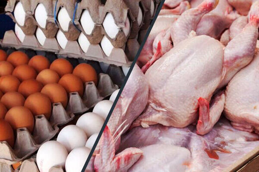 جدیدترین قیمت مرغ و تخم‌مرغ در میادین / هر شانه ۳۰ عددی و هر کیلو مرغ چند؟