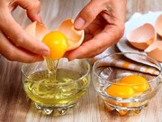 تخم مرغ سالم را این طور بشناسید