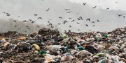 ببینید |  ۵۱۰۰ تن زباله تهران کجا می‌رود؟