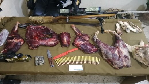 پنج شکارچی غیر مجاز در حاجی آباد دستگیر شدند