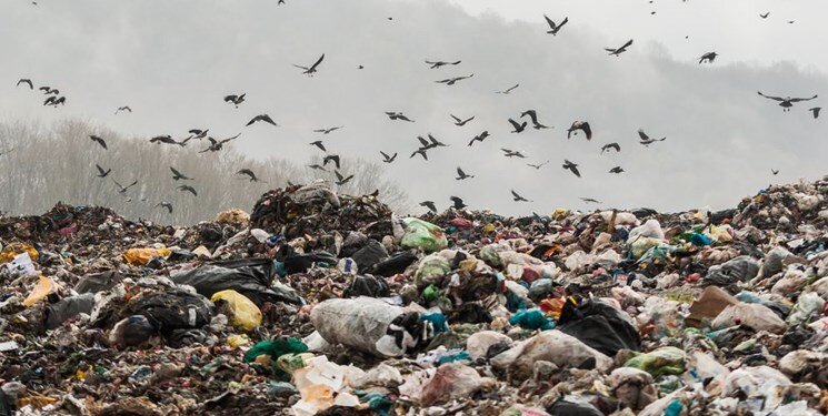 نایب رئیس شورای شهر تهران: به رسانهای که گزارش ناسا را منتشر کرد مشکوکم