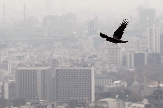 آلودگی هوا در سال جان چند نفر را می‌گیرد؟