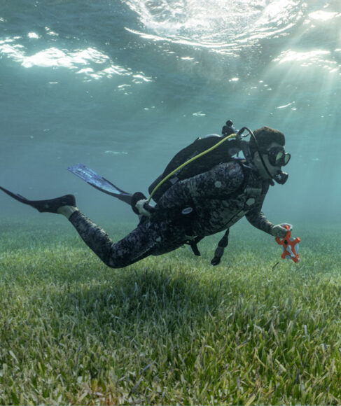 عکس | این کوسه ببری با دانشمندان دست همکاری داد!