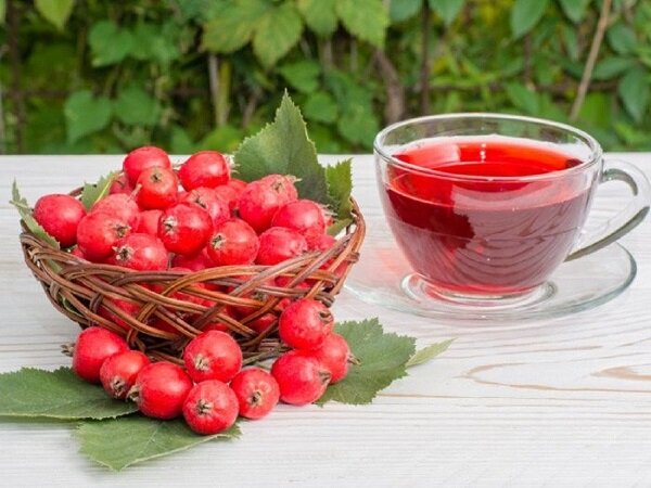 این میوه پاییزی عفونتهای ریه را درمان میکند