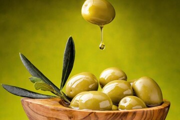  خوش خوراک، گاهی خطرناک / صفر تا صد فایده و زیان «زیتون»