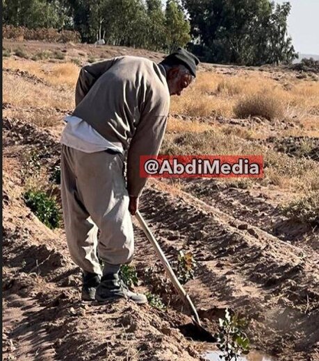 حیرت آور؛ البته در ایران! /  وزیر کشاورزی خاتمی و روحانی با بیل و لباس کار در زمین کشاورزی + عکس‌ها  