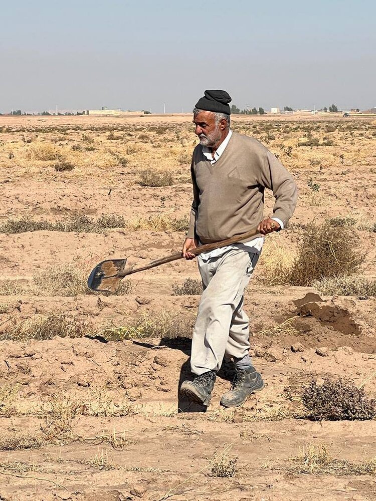 حیرت آور؛ البته در ایران! /  وزیر کشاورزی خاتمی و روحانی با بیل و لباس کار در زمین کشاورزی + عکس‌ها  