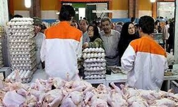 کویت هم واردات مرغ و تخم مرغ ایران را آغاز کرد 