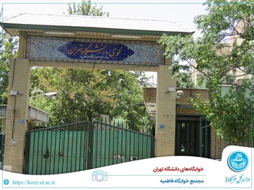 واکنش به خبر مجازی «ورود و حمله فرد مسلح به خوابگاه دختران دانشگاه تهران»